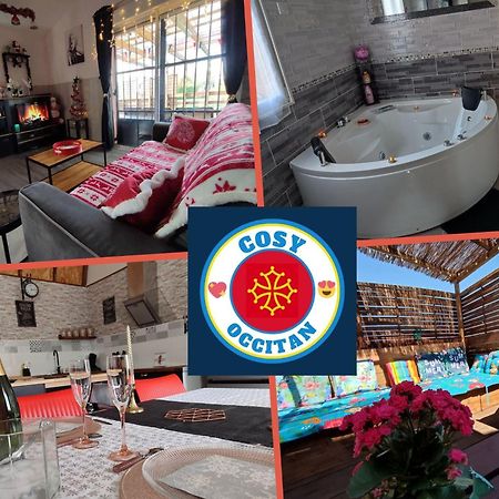 cosy occitan villa renové independante terrasse jardin bien située Carcasona Exterior foto