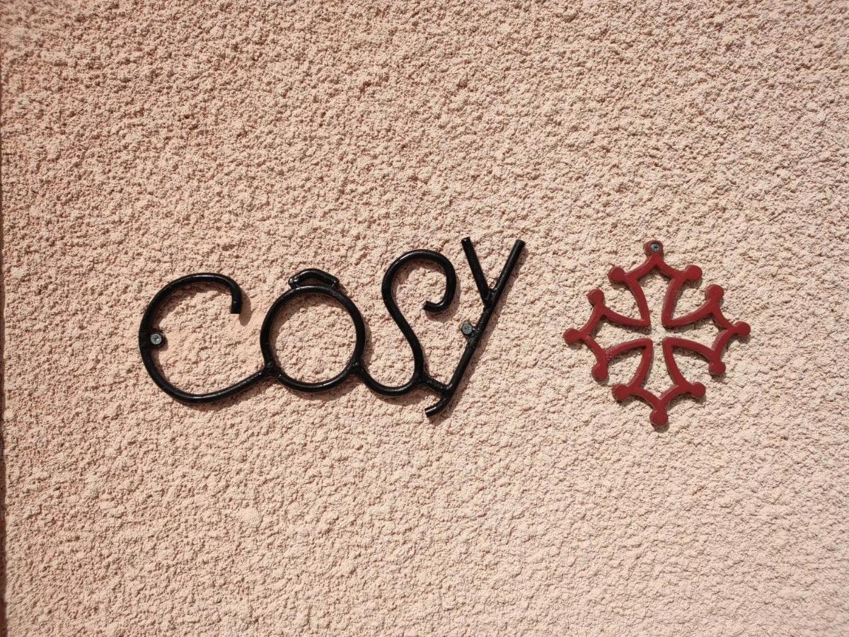 cosy occitan villa renové independante terrasse jardin bien située Carcasona Exterior foto