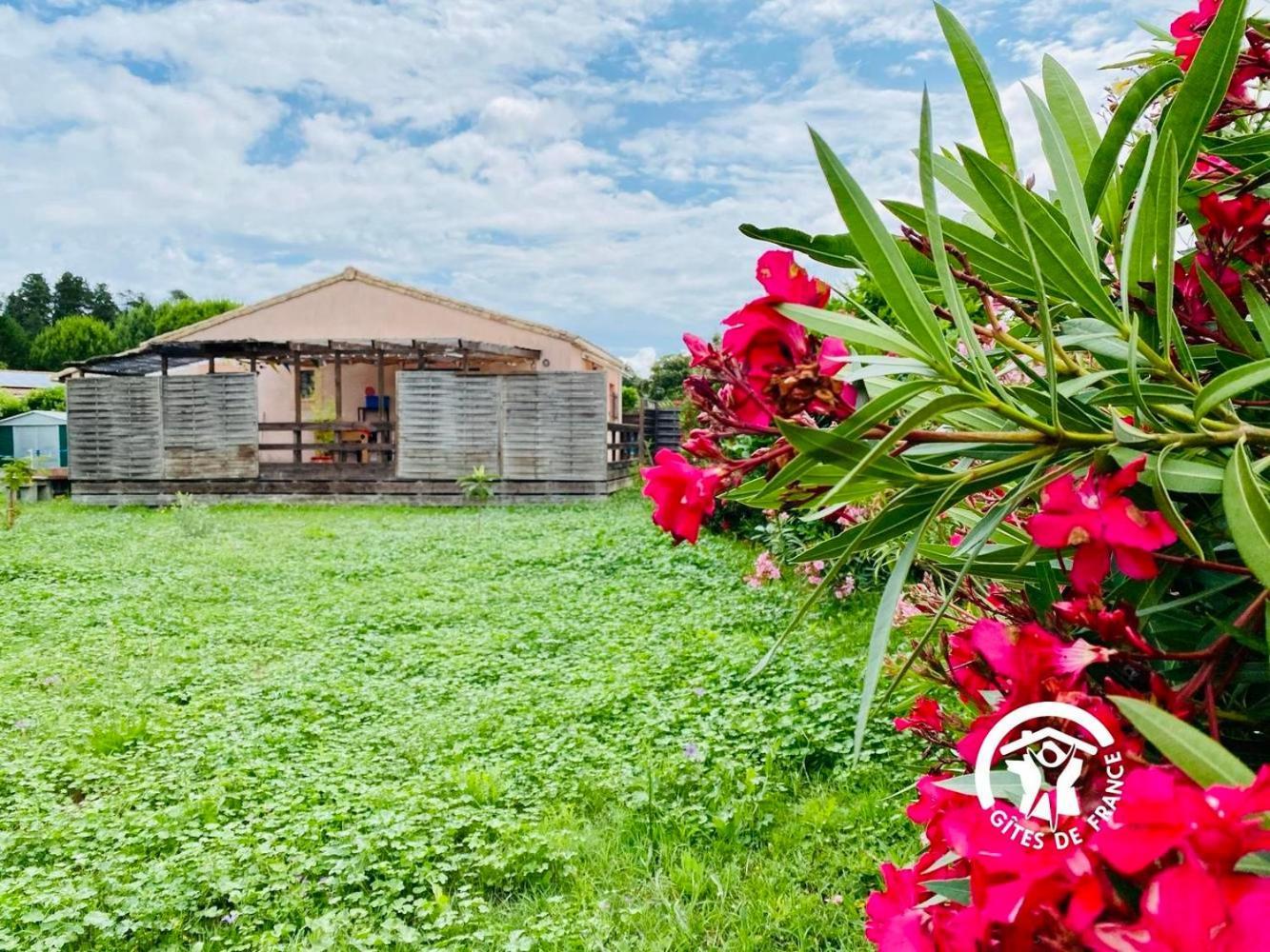 cosy occitan villa renové independante terrasse jardin bien située Carcasona Exterior foto